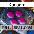 Kanagra 02